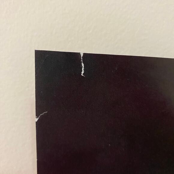 Zombieland Original Theatrical Movie Poster - Picture 2 of 2